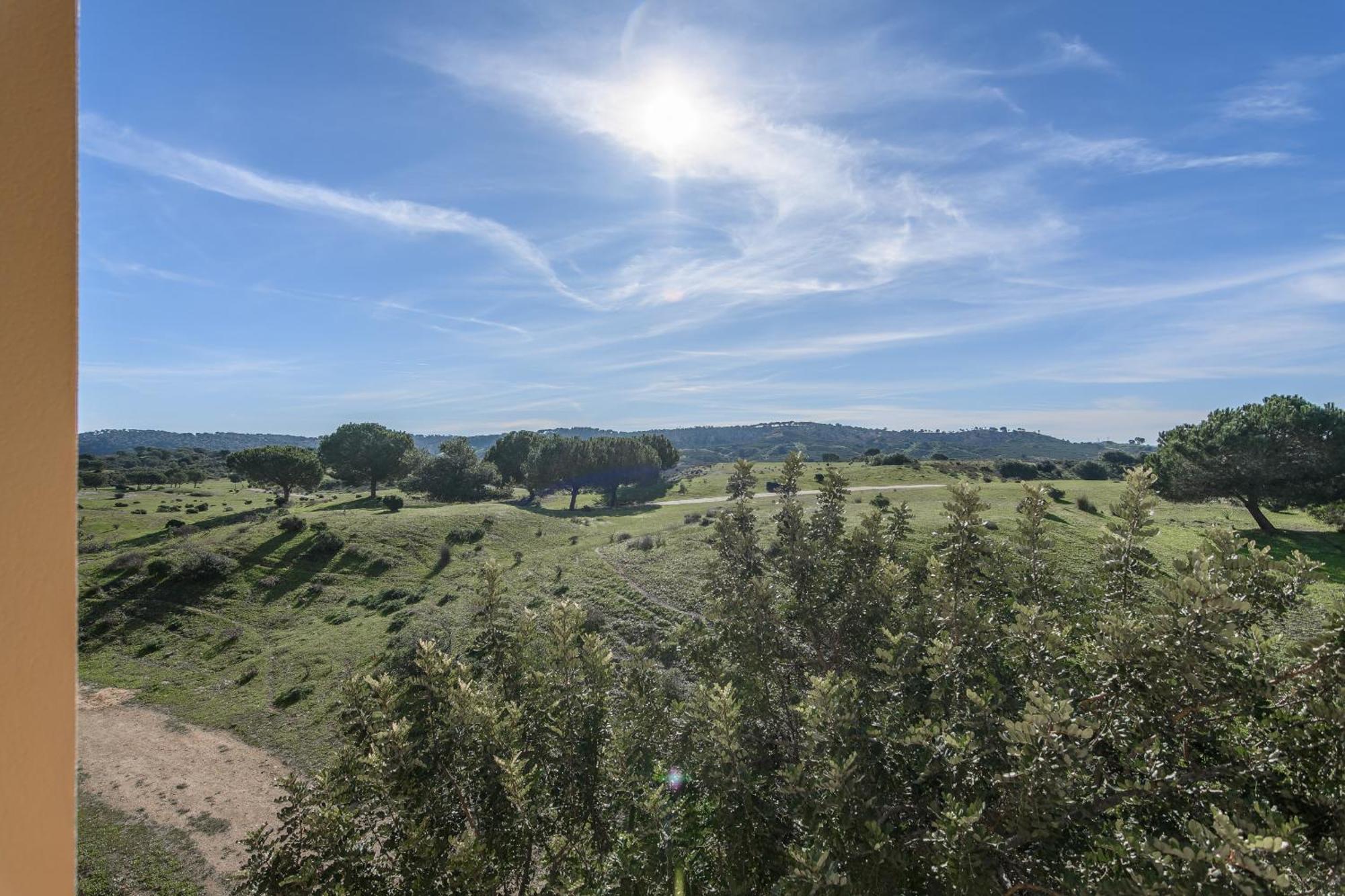 Albatros Golf I By H Ayamonte